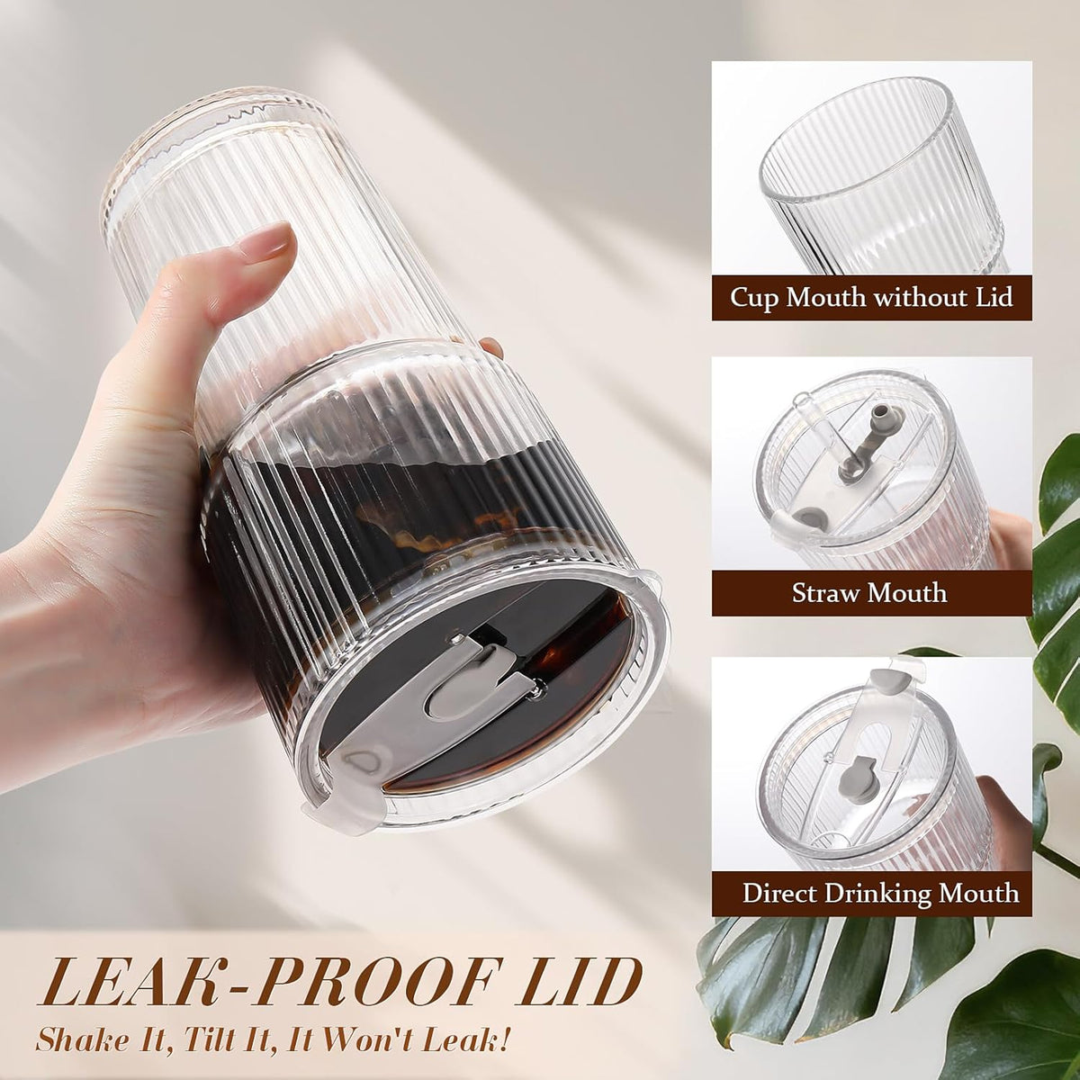 Iced Coffee Cups with Lids,Glass Cups with Lids and Straws,2 Coffee Tumbler